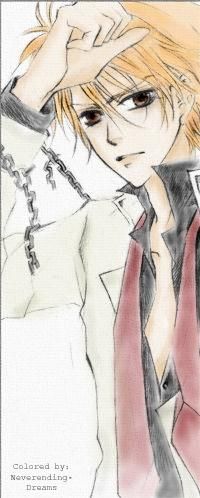 Akatsuki kain (2) - Vampire Knight
