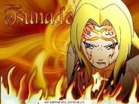 Tsunade - pai...Andreea, sper sa iti plak asta XD - Naruto